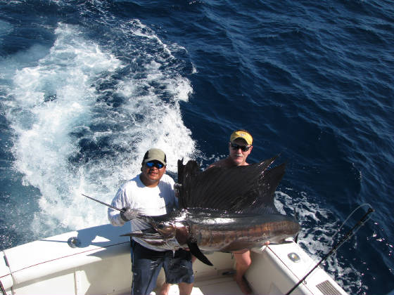 sailfishIMG_1146.jpg